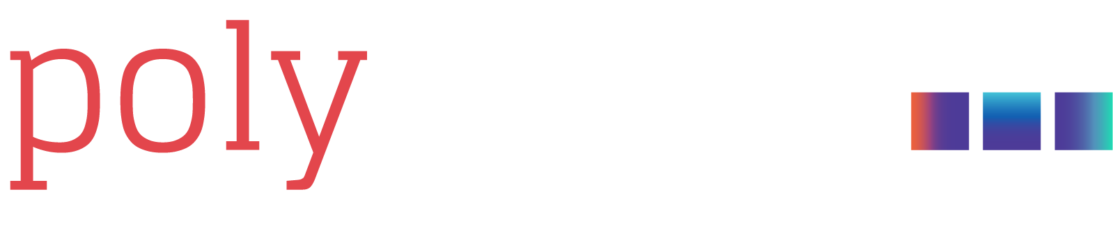 logo polyvision